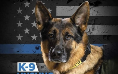 K-9 Sgt. Lanzer makes the cover of Blue magazine